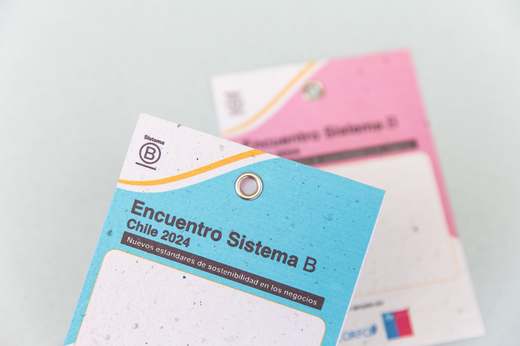 Flyers y Tarjetones — 1 institucional sistema b